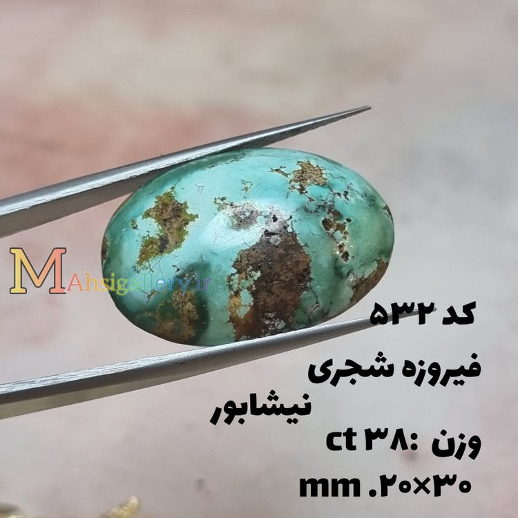 فیروزه شجری نیشابور
