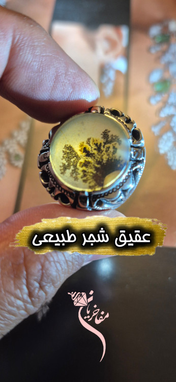 نقره مردانه شجر